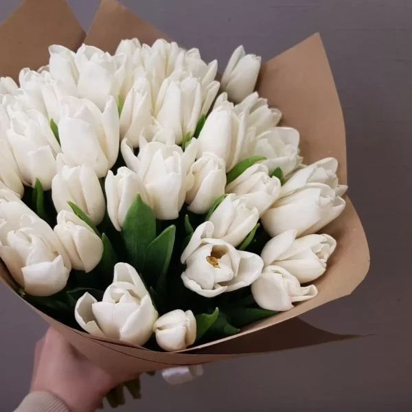 Букет из 33 белых тюльпан, изображение 2